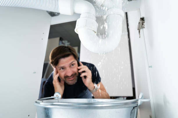 Best Sewer Line Repair  in Rogersville, MO