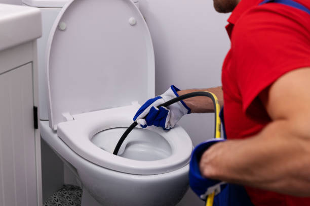 Best Local Plumber Services  in Rogersville, MO