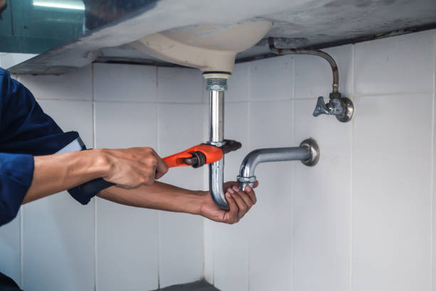 Best Emergency Plumber  in Rogersville, MO