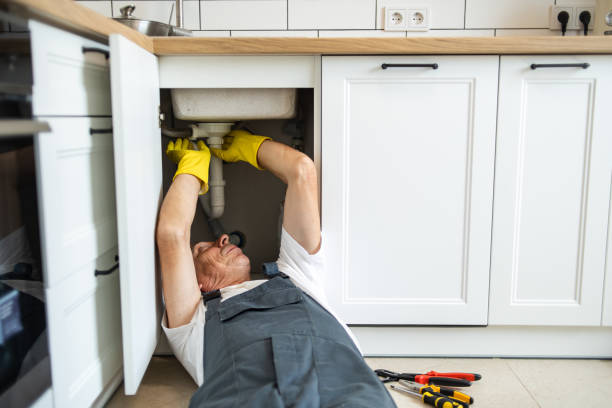 Best Emergency Plumber  in Rogersville, MO