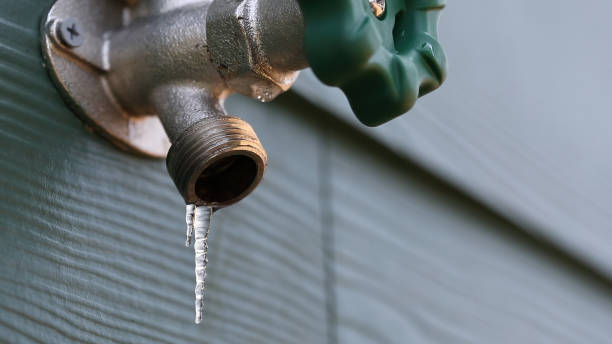 Best Affordable Plumber Near Me  in Rogersville, MO